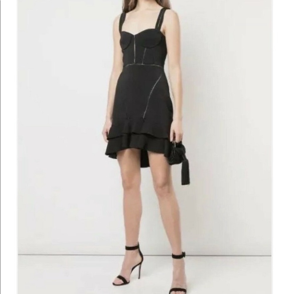NWT Johnathan Simkhai Corset Ruffle Dress